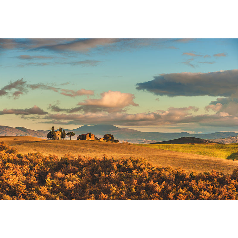 Dark Color Mountain Scenery Mural Stain Resistant Wall Decor for Bedroom, Custom Size Clearhalo 'Wall Decor' 'Wall Mural' 1957029