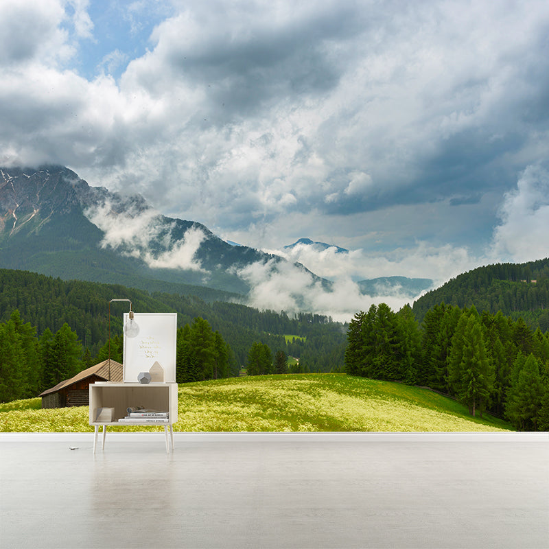 Photo Mountain View Wall Mural Decal Huge Wall Art for Sitting Room, Made to Measure Clearhalo 'Wall Decor' 'Wall Mural' 1957033