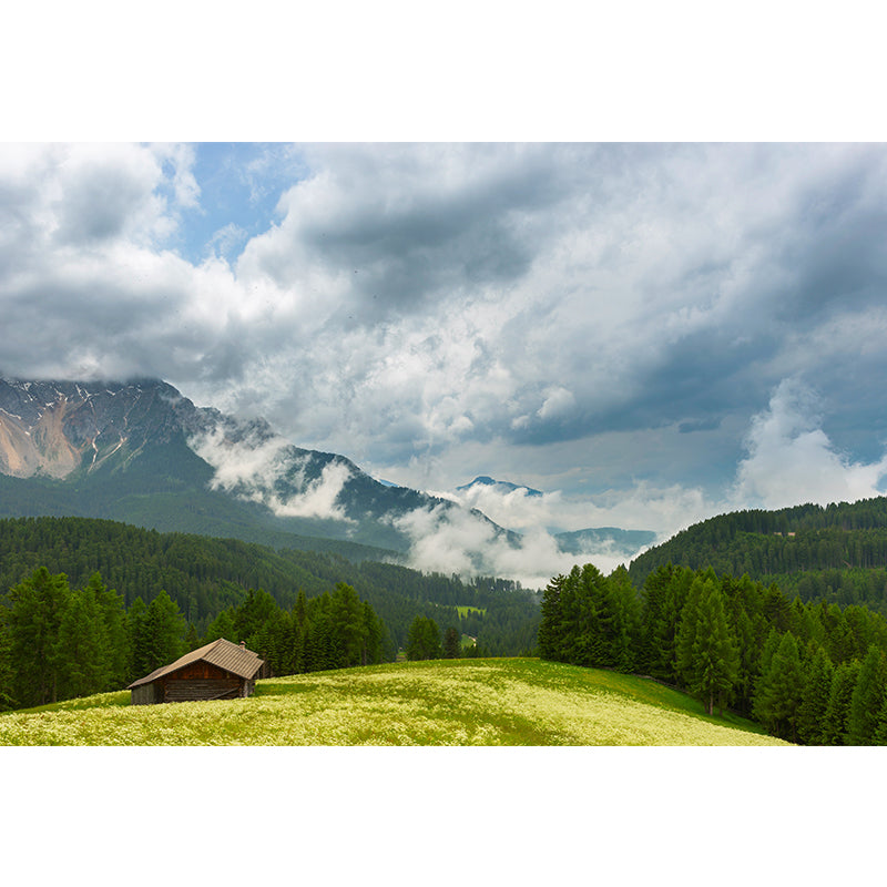 Photo Mountain View Wall Mural Decal Huge Wall Art for Sitting Room, Made to Measure Clearhalo 'Wall Decor' 'Wall Mural' 1957034