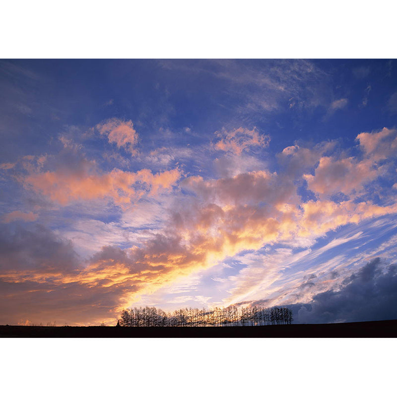 Modern Scenery Evening Clouds Mural Pastel Color Water-Proof Wall Art for Bedroom Clearhalo 'Wall Decor' 'Wall Mural' 1957114