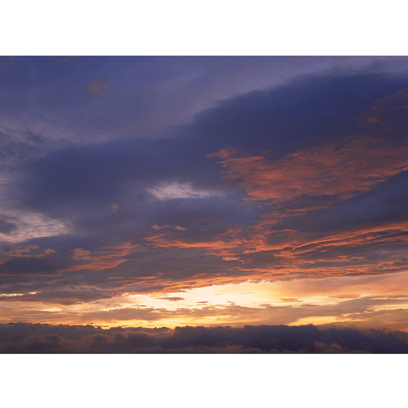 Splendid Evening Glow Mural Wallpaper for Living Room, Dark Color, Personalized Size Clearhalo 'Wall Decor' 'Wall Mural' 1957159