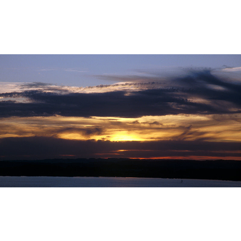 Splendid Evening Glow Mural Wallpaper for Living Room, Dark Color, Personalized Size Clearhalo 'Wall Decor' 'Wall Mural' 1957179