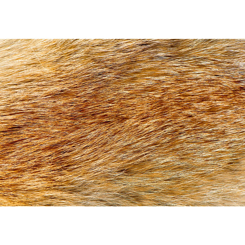 Non-Woven Ornamental Mural Decal Modern Wild Animal Print Graphic Wall Art, Personalise Clearhalo 'Wall Decor' 'Wall Mural' 1957274