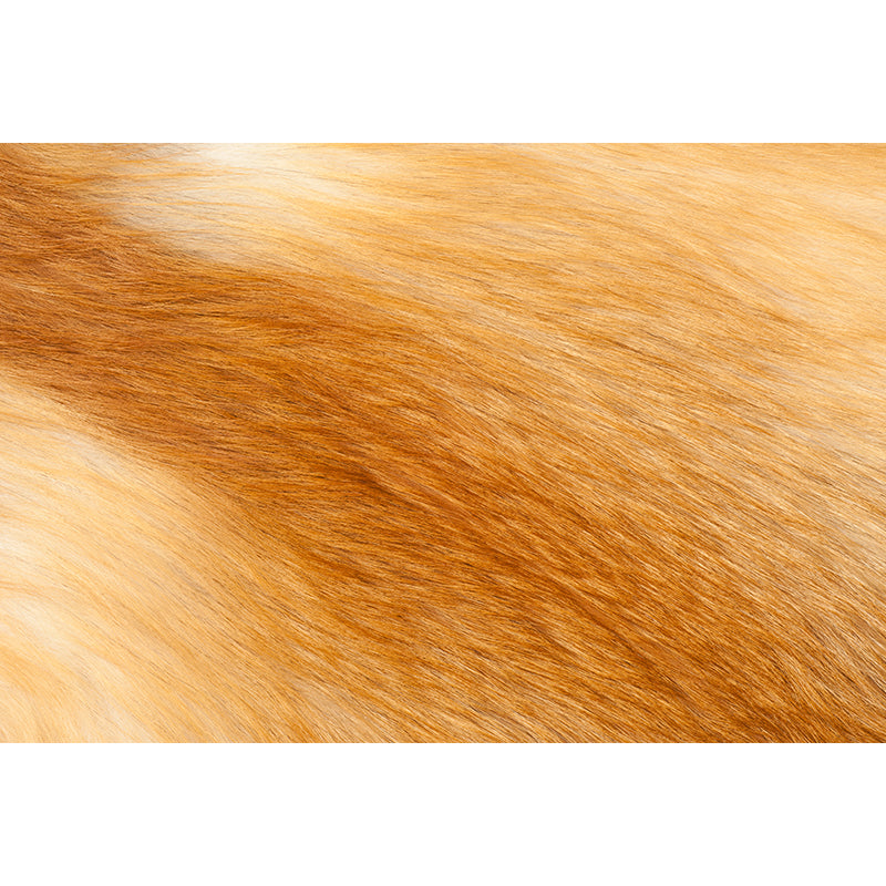 Non-Woven Ornamental Mural Decal Modern Wild Animal Print Graphic Wall Art, Personalise Clearhalo 'Wall Decor' 'Wall Mural' 1957279