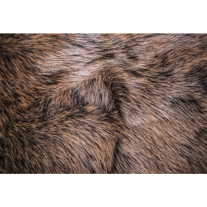 Wild Animal Print Mural Decal Contemporary Decorative Living Room Wall Art, Custom Printed Clearhalo 'Wall Decor' 'Wall Mural' 1957319