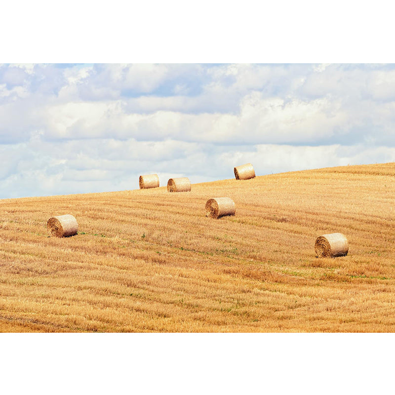 Cornfield Scenery Mural Wallpaper Pastel Color Modern Wall Covering for Drawing Room Clearhalo 'Wall Decor' 'Wall Mural' 1957484