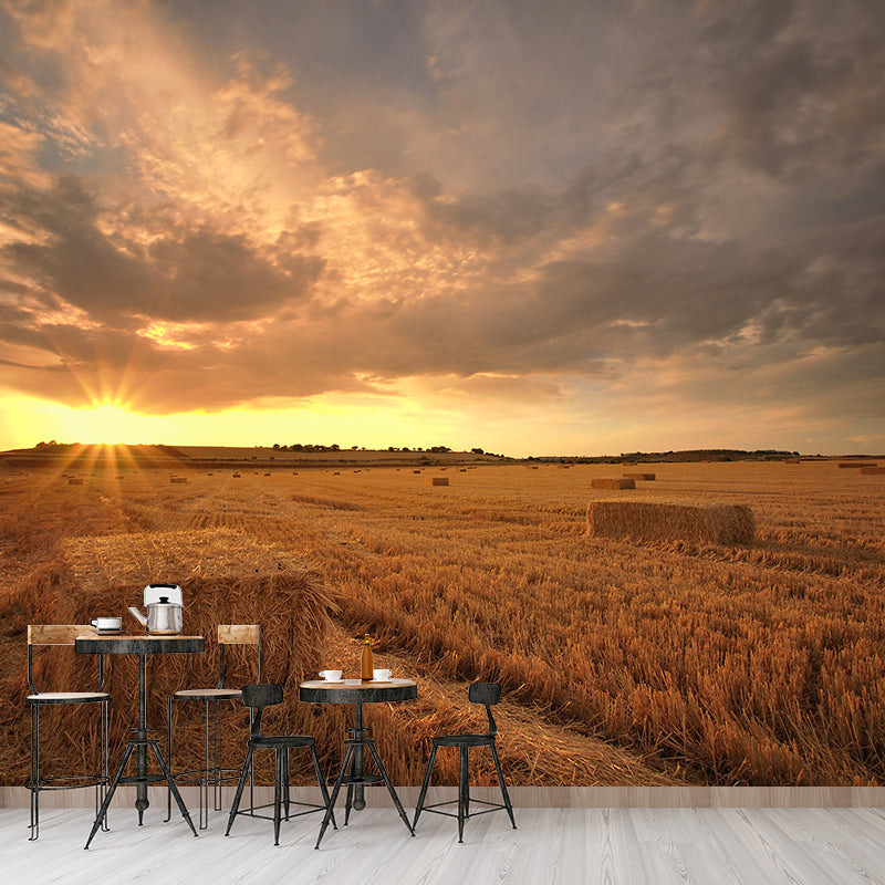 Cornfield Scenery Mural Wallpaper Pastel Color Modern Wall Covering for Drawing Room Dark Brown Clearhalo 'Wall Decor' 'Wall Mural' 1957491