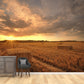 Cornfield Scenery Mural Wallpaper Pastel Color Modern Wall Covering for Drawing Room Clearhalo 'Wall Decor' 'Wall Mural' 1957493