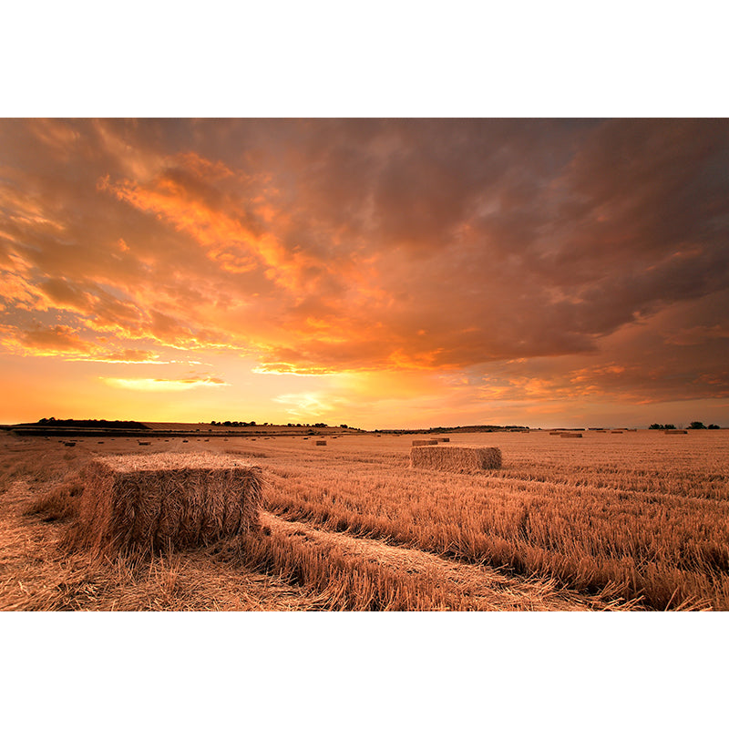 Cornfield Scenery Mural Wallpaper Pastel Color Modern Wall Covering for Drawing Room Clearhalo 'Wall Decor' 'Wall Mural' 1957499