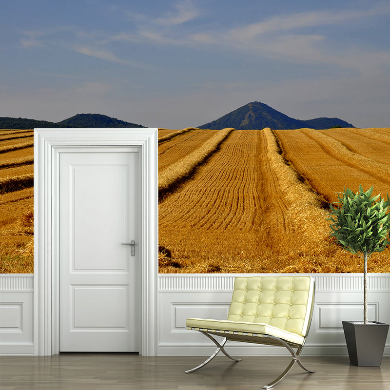 Contemporary Photo Wheat Field Mural Soft Color Stain Resistant Wall Art for Dining Room Clearhalo 'Wall Decor' 'Wall Mural' 1957532