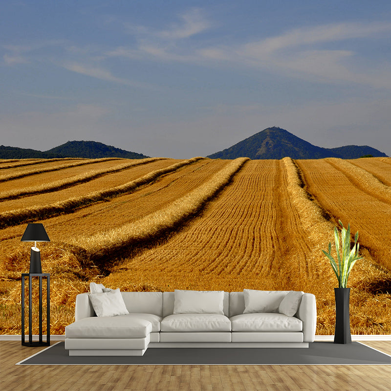 Contemporary Photo Wheat Field Mural Soft Color Stain Resistant Wall Art for Dining Room Clearhalo 'Wall Decor' 'Wall Mural' 1957534