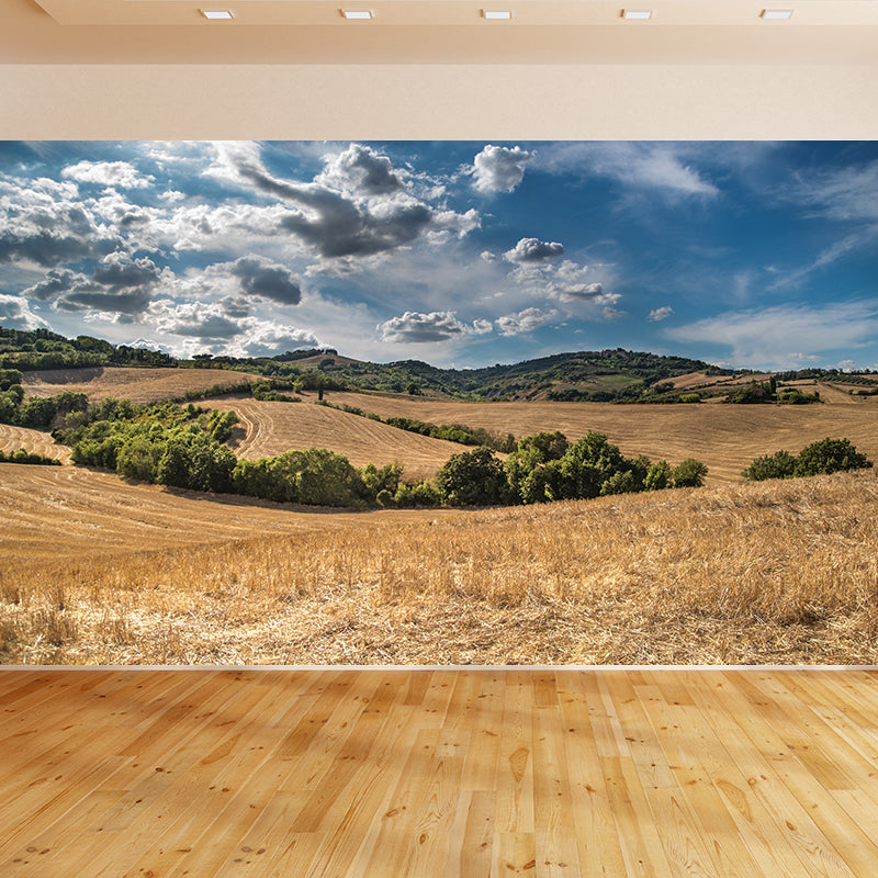 Contemporary Photo Wheat Field Mural Soft Color Stain Resistant Wall Art for Dining Room Clearhalo 'Wall Decor' 'Wall Mural' 1957538