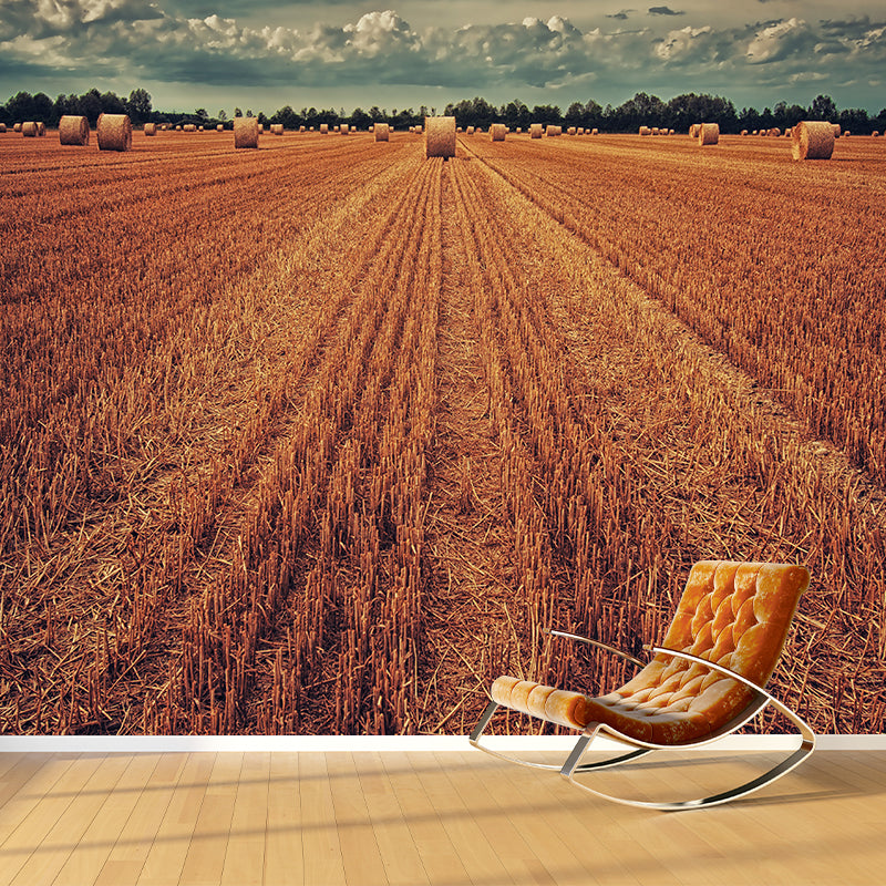 Contemporary Photo Wheat Field Mural Soft Color Stain Resistant Wall Art for Dining Room Dark Brown Clearhalo 'Wall Decor' 'Wall Mural' 1957542