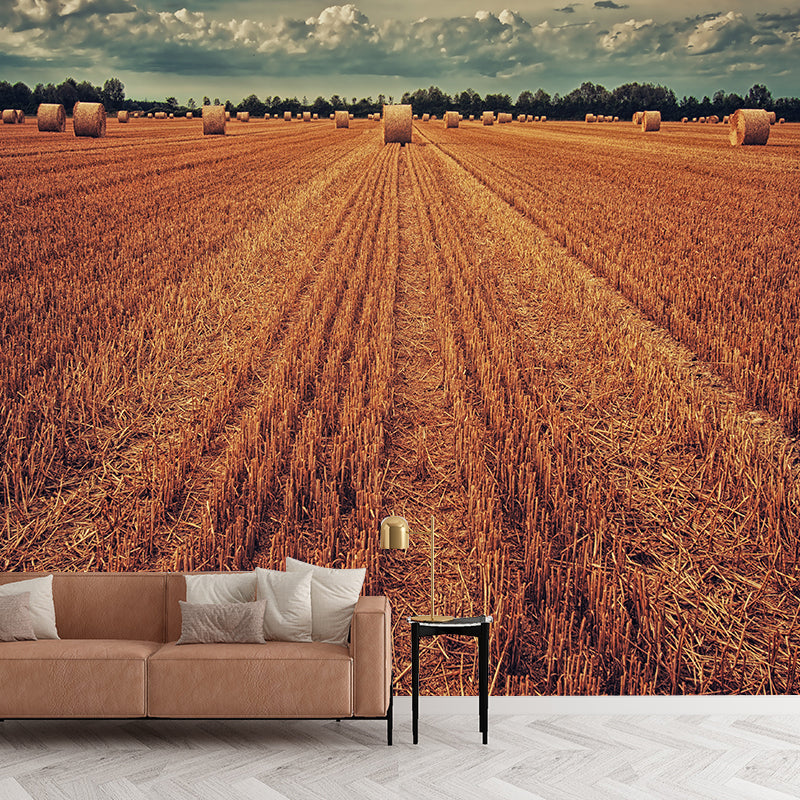 Contemporary Photo Wheat Field Mural Soft Color Stain Resistant Wall Art for Dining Room Clearhalo 'Wall Decor' 'Wall Mural' 1957544