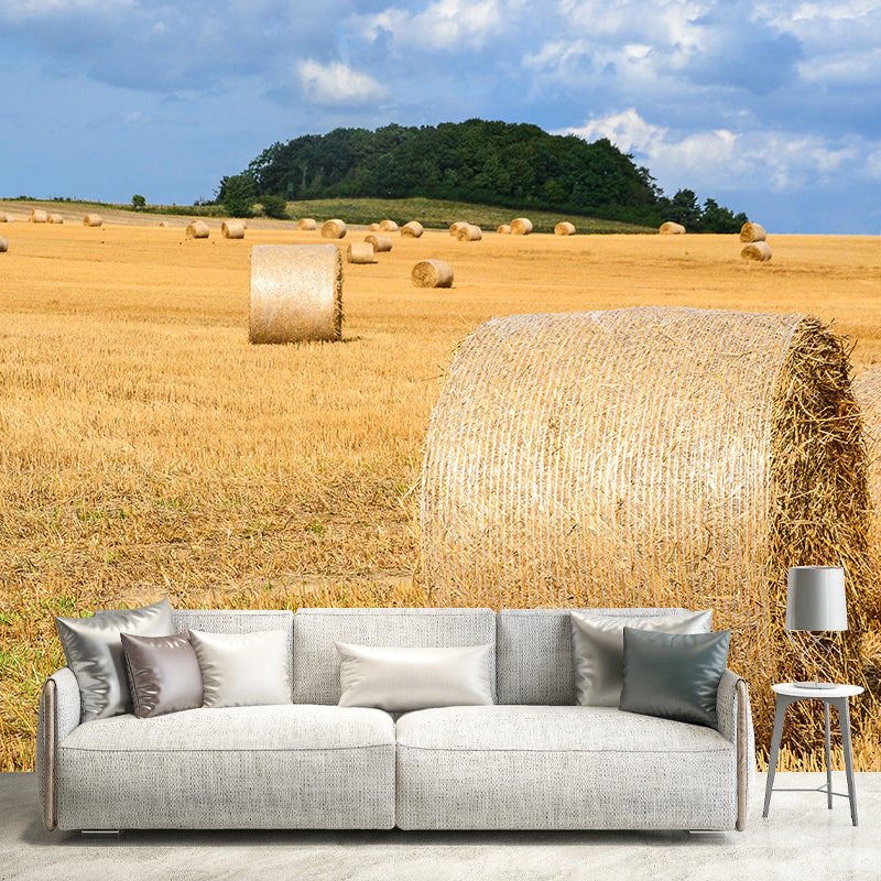 Contemporary Photo Wheat Field Mural Soft Color Stain Resistant Wall Art for Dining Room Clearhalo 'Wall Decor' 'Wall Mural' 1957548