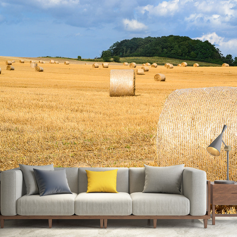 Contemporary Photo Wheat Field Mural Soft Color Stain Resistant Wall Art for Dining Room Clearhalo 'Wall Decor' 'Wall Mural' 1957549