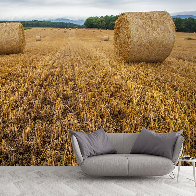 Relaxing Cornfield View Mural Wallpaper Pastel Color Modern Wall Covering for Drawing Room Clearhalo 'Wall Decor' 'Wall Mural' 1957558