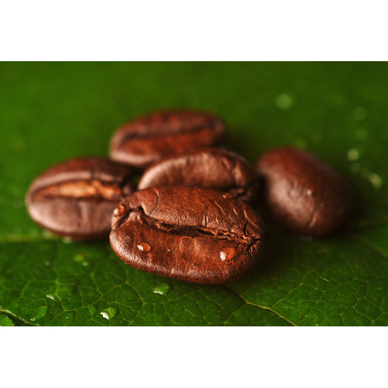 Modern Coffee Bean Pattern Mural Pastel Color Study Room Wall Decor, Personalized Clearhalo 'Wall Decor' 'Wall Mural' 1957815