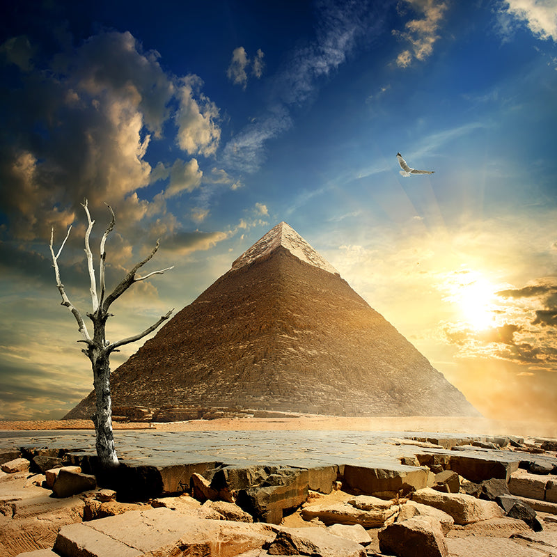 Contemporary Scenery Mural Wallpaper Natural Color Sun over the Pyramid Wall Covering Clearhalo 'Wall Decor' 'Wall Mural' 2009161