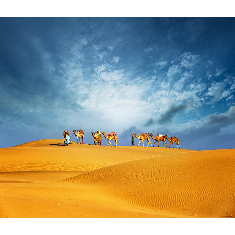 Custom Photo Print Modern Mural with Ship of the Desert Camel Pattern in Nature Color Clearhalo 'Wall Decor' 'Wall Mural' 2009406