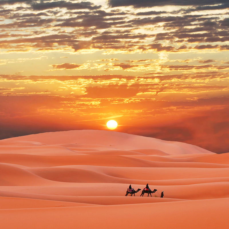 Custom Photo Print Modern Mural with Ship of the Desert Camel Pattern in Nature Color Clearhalo 'Wall Decor' 'Wall Mural' 2009416