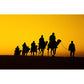 Dark Color Modern Mural Whole Desert Landscape with Camel at Sunset Wall Decor for Home Clearhalo 'Wall Decor' 'Wall Mural' 2009466
