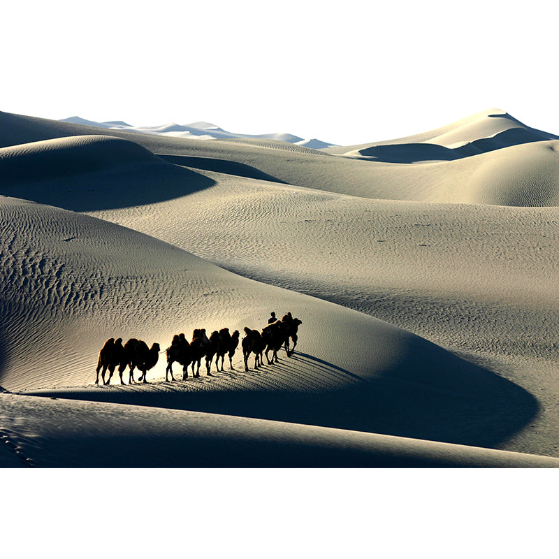 Dark Color Modern Mural Whole Desert Landscape with Camel at Sunset Wall Decor for Home Clearhalo 'Wall Decor' 'Wall Mural' 2009471