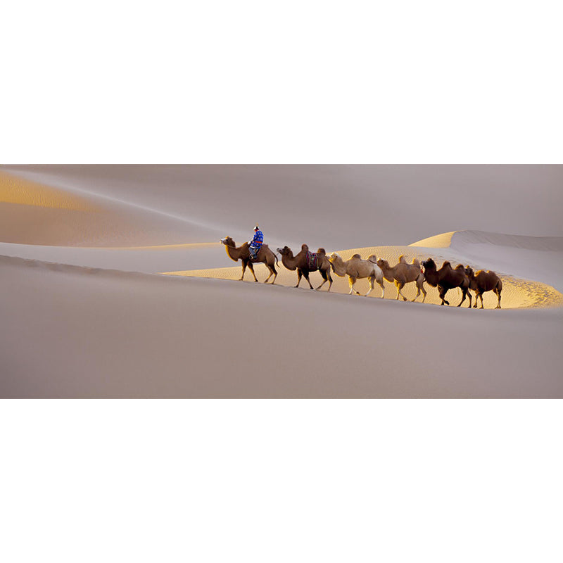 Nature Scenery Desert Mural Wallpaper Modern Non-Woven Wall Art for House Interior Clearhalo 'Wall Decor' 'Wall Mural' 2009476