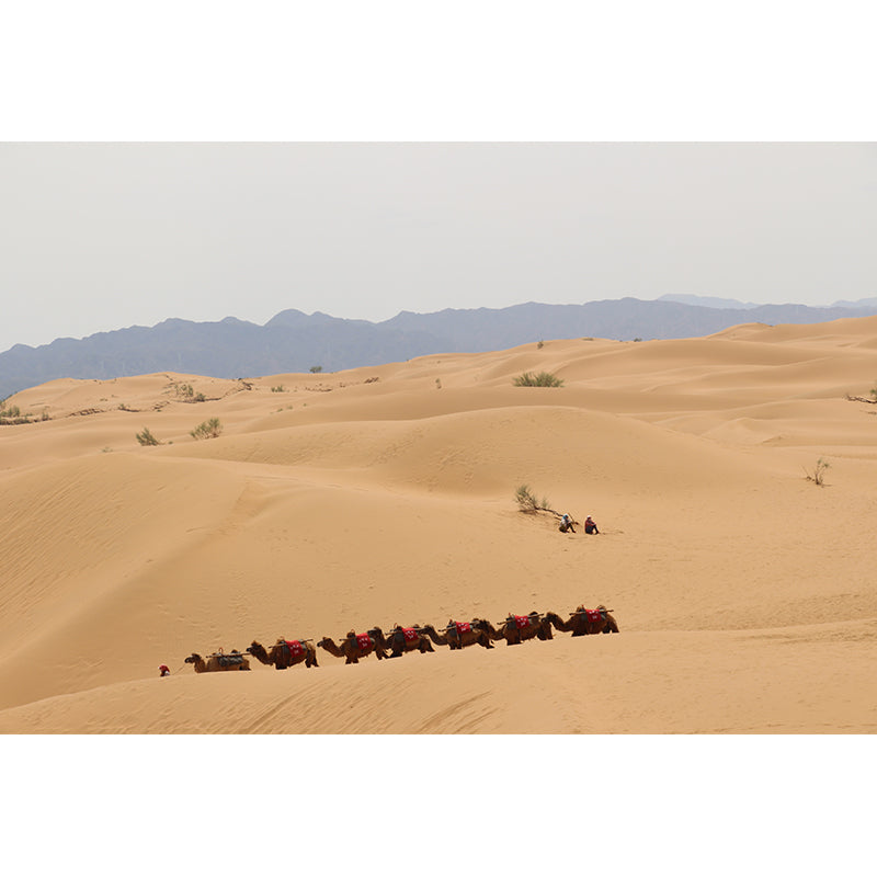 Nature Scenery Desert Mural Wallpaper Modern Non-Woven Wall Art for House Interior Clearhalo 'Wall Decor' 'Wall Mural' 2009491