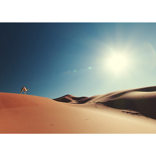 Nature Scenery Desert Mural Wallpaper Modern Non-Woven Wall Art for House Interior Clearhalo 'Wall Decor' 'Wall Mural' 2009496