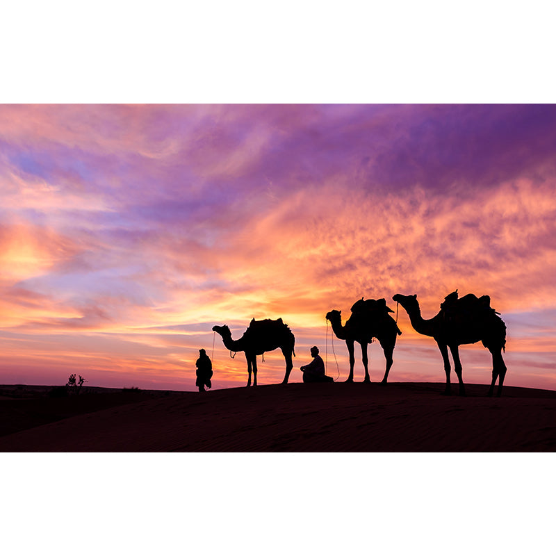 Photographic Camel Mural Full Size Wall Covering for Living Room, Made to Measure Clearhalo 'Wall Decor' 'Wall Mural' 2009501