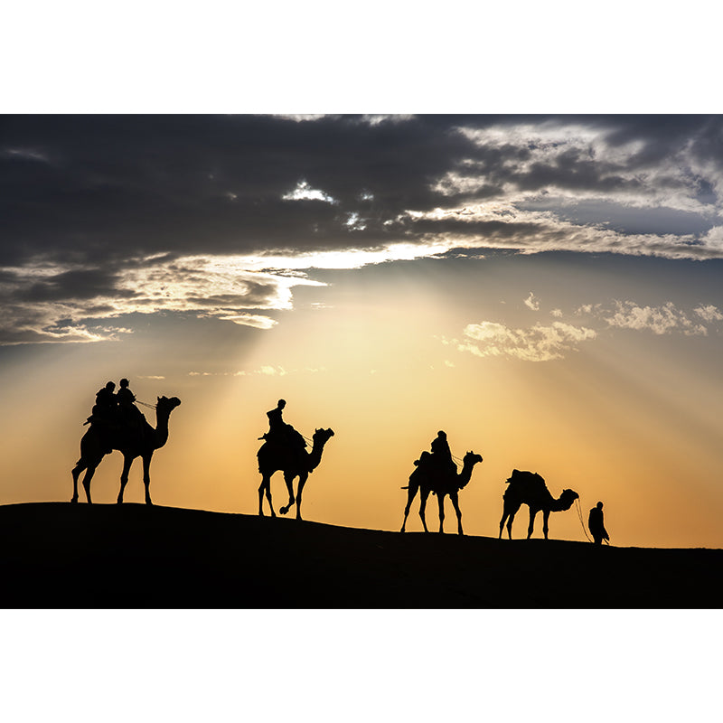 Photographic Camel Mural Full Size Wall Covering for Living Room, Made to Measure Clearhalo 'Wall Decor' 'Wall Mural' 2009516