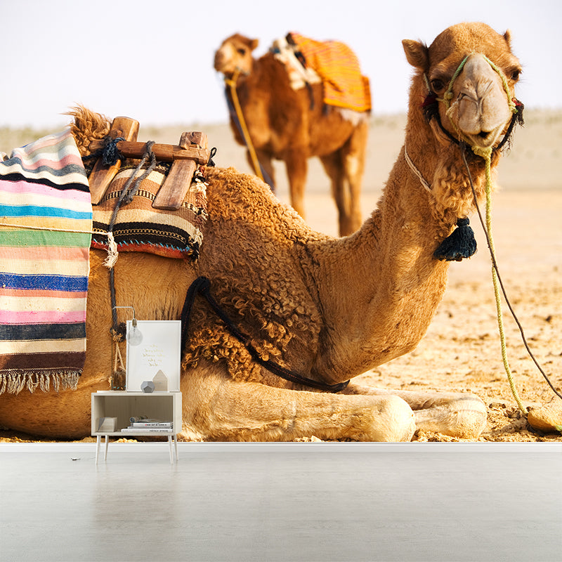 Photographic Camel Mural Full Size Wall Covering for Living Room, Made to Measure Brown Clearhalo 'Wall Decor' 'Wall Mural' 2009518