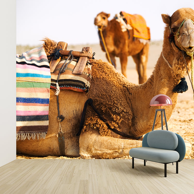 Photographic Camel Mural Full Size Wall Covering for Living Room, Made to Measure Clearhalo 'Wall Decor' 'Wall Mural' 2009519