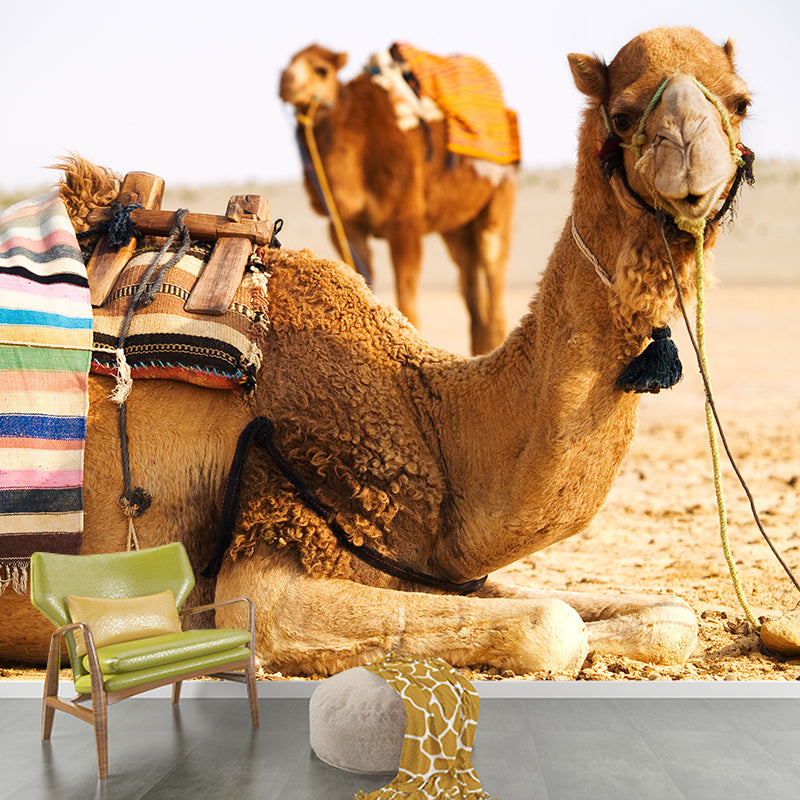 Photographic Camel Mural Full Size Wall Covering for Living Room, Made to Measure Clearhalo 'Wall Decor' 'Wall Mural' 2009520