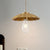 1-Light Metal Pendant Lighting Vintage Brass Cone Bedroom Hanging Lamp with Adjustable Cord Brass Clearhalo 'Art Deco Pendants' 'Cast Iron' 'Ceiling Lights' 'Ceramic' 'Crystal' 'Industrial Pendants' 'Industrial' 'Metal' 'Middle Century Pendants' 'Pendant Lights' 'Pendants' 'Tiffany' Lighting' 204342