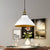 Dome Metal Pendant Light Industrial Single Bulb Living Room Hanging Light Fixture in Black/White/Gold White Clearhalo 'Art Deco Pendants' 'Black' 'Cast Iron' 'Ceiling Lights' 'Ceramic' 'Crystal' 'Industrial Pendants' 'Industrial' 'Metal' 'Middle Century Pendants' 'Pendant Lights' 'Pendants' 'Rustic Pendants' 'Tiffany' Lighting' 204530