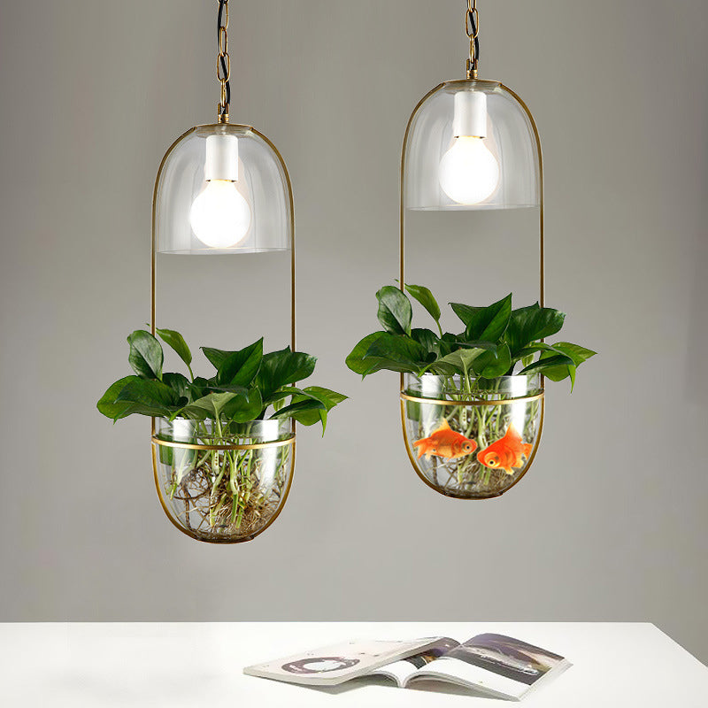 1 Bulb Pendant Light Antique Hemisphere Planter Clear Glass Hanging Light Fixture with Oblong Frame in Gold Clearhalo 'Ceiling Lights' 'Lighting' 'Pendant Lights' 2063925_36180b13-68b7-4278-ac2e-9d3a3c8e4ef9