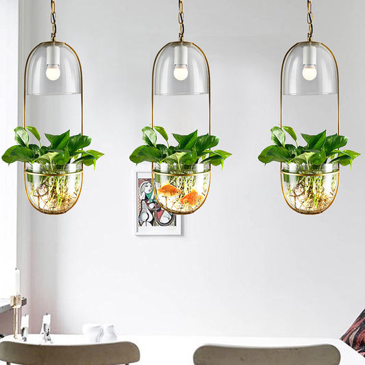 1 Bulb Pendant Light Antique Hemisphere Planter Clear Glass Hanging Light Fixture with Oblong Frame in Gold Clearhalo 'Ceiling Lights' 'Lighting' 'Pendant Lights' 2063926_e3daea23-5ae0-4c09-88c5-62a33445b841