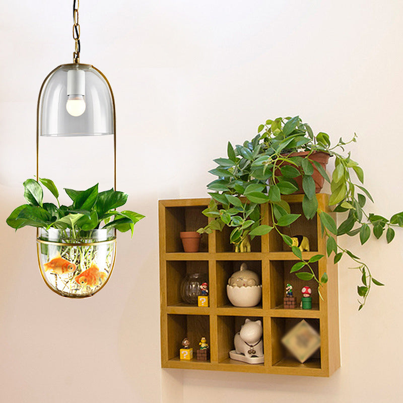 1 Bulb Pendant Light Antique Hemisphere Planter Clear Glass Hanging Light Fixture with Oblong Frame in Gold Clearhalo 'Ceiling Lights' 'Lighting' 'Pendant Lights' 2063927_92a3d16d-87b4-4230-8171-8613680e9694