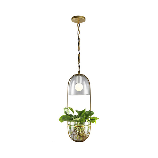 1 Bulb Pendant Light Antique Hemisphere Planter Clear Glass Hanging Light Fixture with Oblong Frame in Gold Clearhalo 'Ceiling Lights' 'Lighting' 'Pendant Lights' 2063928_8a8e7073-5dac-4f48-a6c5-d79bb987e678