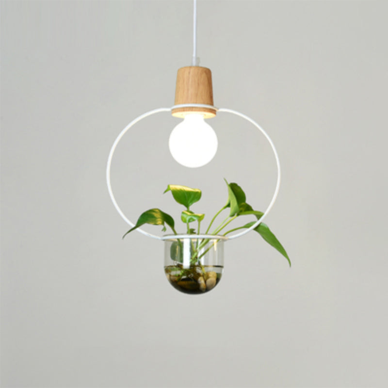 Planter Hanging Lamp Contemporary Clear Glass 1-Light Study Room Lighting Pendant White A Clearhalo 'Art Deco Pendants' 'Black' 'Cast Iron' 'Ceiling Lights' 'Ceramic' 'Crystal' 'Industrial Pendants' 'Industrial' 'Metal' 'Middle Century Pendants' 'Pendant Lights' 'Pendants' 'Rustic Pendants' 'Tiffany' Lighting' 2064009
