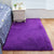 Decorative Calming Indoor Rug Multi Colored Plain Rug Stain Resistant Anti-Slip Machine Washable Carpet for Bedroom Dark Purple Clearhalo 'Area Rug' 'Casual' 'Rugs' Rug' 2070745