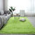 Soft Solid Rug Multi-Colored Minimalist Rug Fluffy Washable Pet Friendly Anti-Slip Backing Carpet for Home Fruit Green Clearhalo 'Area Rug' 'Casual' 'Rugs' Rug' 2070879