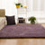 Multicolor Nordic Indoor Rug Faux Fleece Plain Carpet Machine Washable Pet Friendly Rug for Great Room Gray-Purple Clearhalo 'Area Rug' 'Casual' 'Rugs' Rug' 2070886