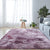 Pretty Casual Rug Multicolor Plain Area Carpet Non-Slip Backing Stain Resistant Washable Rug for Living Room Purple-Pink Clearhalo 'Area Rug' 'Casual' 'Rugs' Rug' 2070901