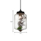 Contemporary 1 Light Hanging Lamp with Clear Glass Shade and Plant Decoration Cylinder/Oval/Globe Pendant Lamp, 6.5"/8"/10.5" Wide Clearhalo 'Ceiling Lights' 'Glass shade' 'Glass' 'Modern Pendants' 'Modern' 'Pendant Lights' 'Pendants' Lighting' 207995