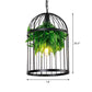 Black Bird Cage Hanging Lamp Farmhouse Iron 1 Light Restaurant Ceiling Pendant Light with Plant Decor Clearhalo 'Art Deco Pendants' 'Black' 'Cast Iron' 'Ceiling Lights' 'Ceramic' 'Crystal' 'Industrial Pendants' 'Industrial' 'Metal' 'Middle Century Pendants' 'Pendant Lights' 'Pendants' 'Rustic Pendants' 'Tiffany' Lighting' 2122822