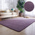 Nordic Home Decoration Rug Multicolor Plain Carpet Polypropylene Stain Resistant Anti-Slip Machine Washable Area Rug Purple Clearhalo 'Area Rug' 'Casual' 'Rugs' Rug' 2172164