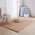 Multi Color Plain Rug Plush Nordic Rug Washable Anti-Slip Backing Stain Resistant Area Carpet for Living Room Camel Clearhalo 'Area Rug' 'Casual' 'Rugs' Rug' 2172278